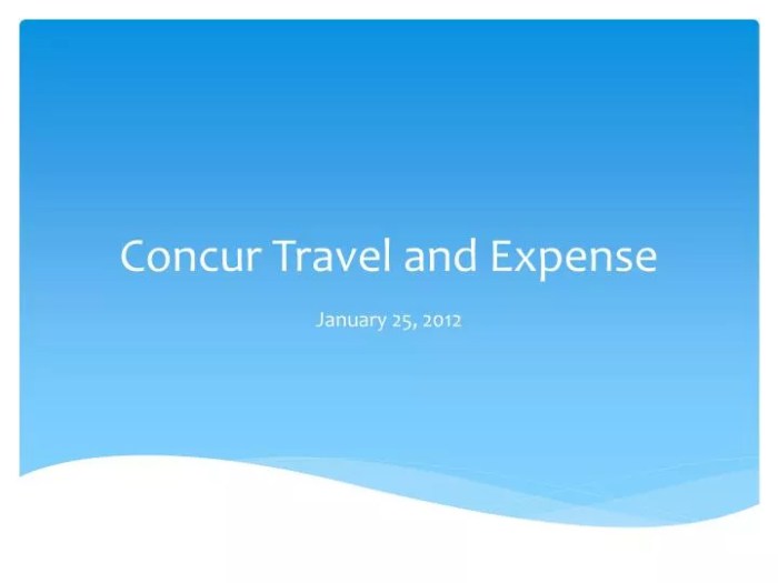 PPT - Concur Travel and Expense PowerPoint Presentation, free download ...