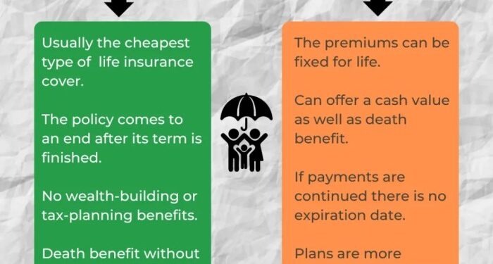 Whole vs Term Life Insurance Guide 2026 | Insurance Hero